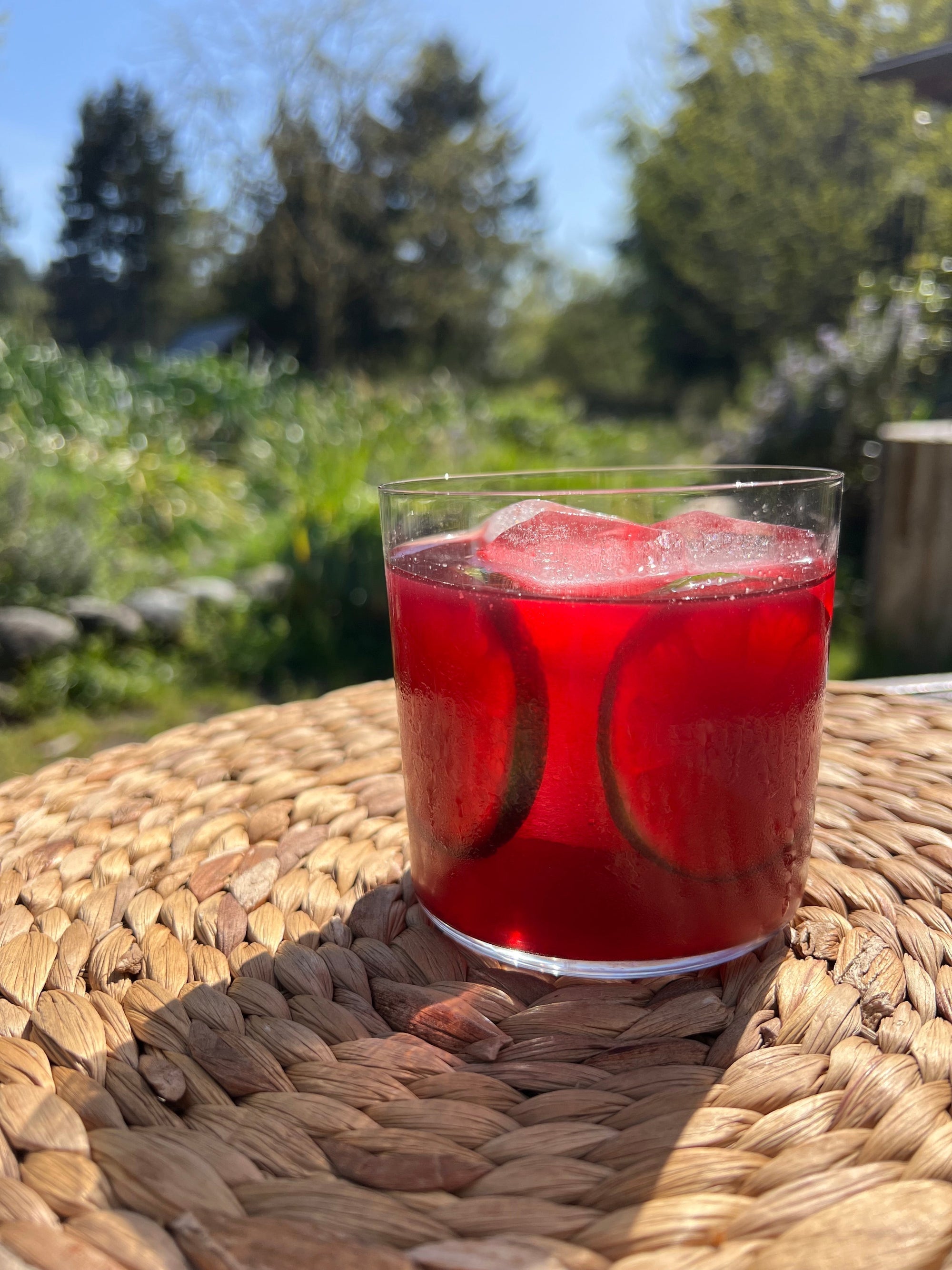 Quick Iced Hibiscus Tea
