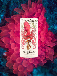 The Creator