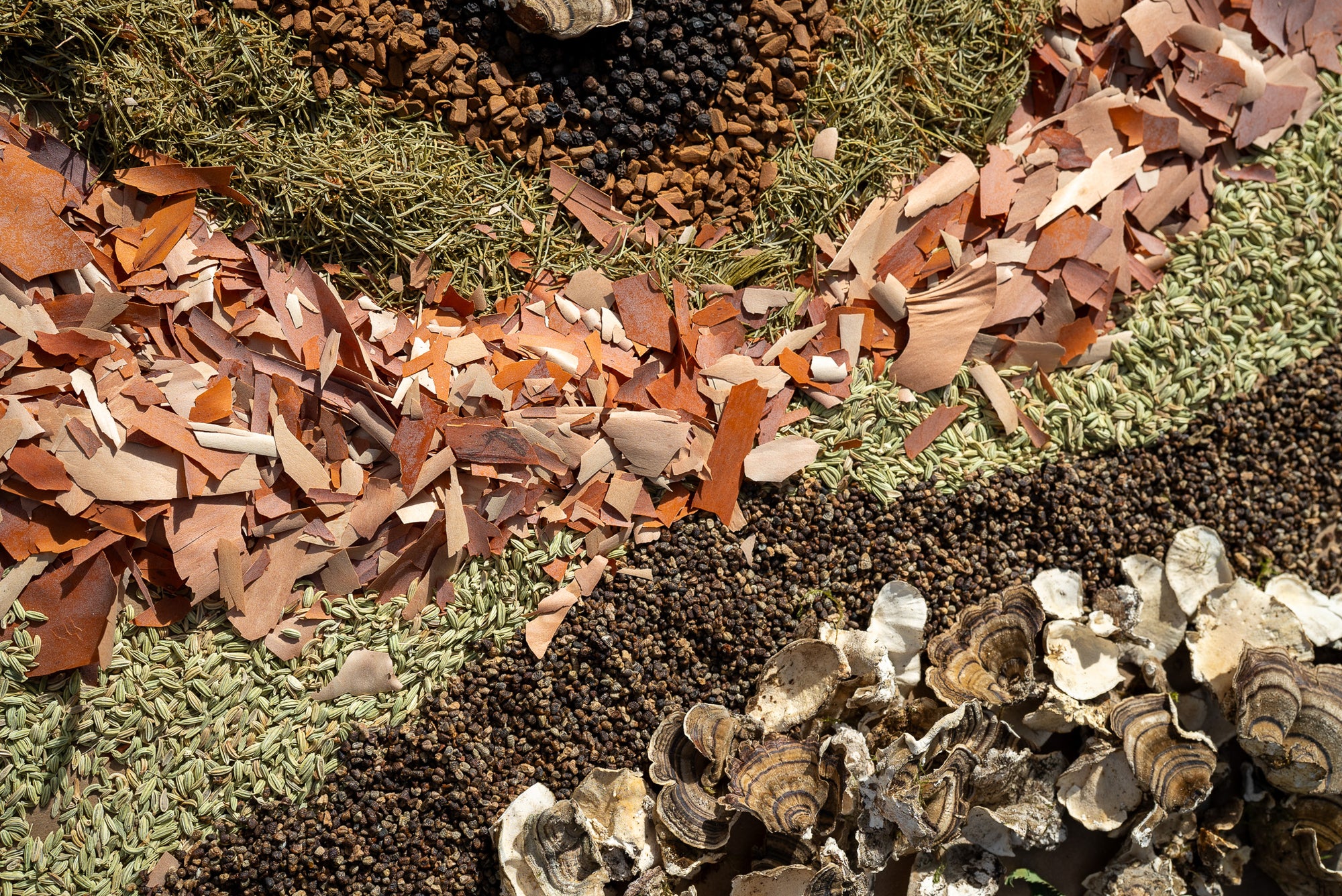 Wholesale Stoic (UPC: 198168093412)