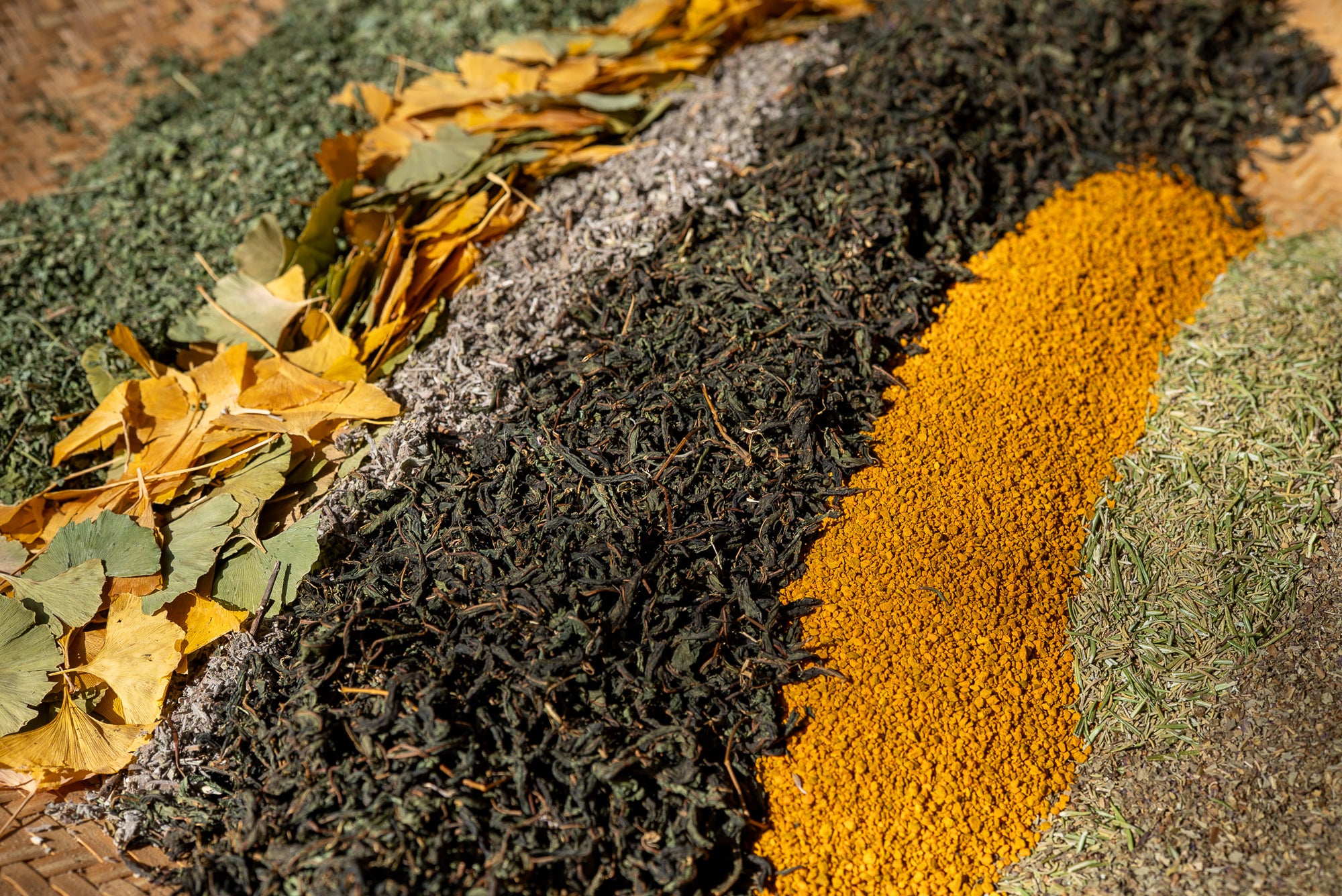 Wholesale Sage