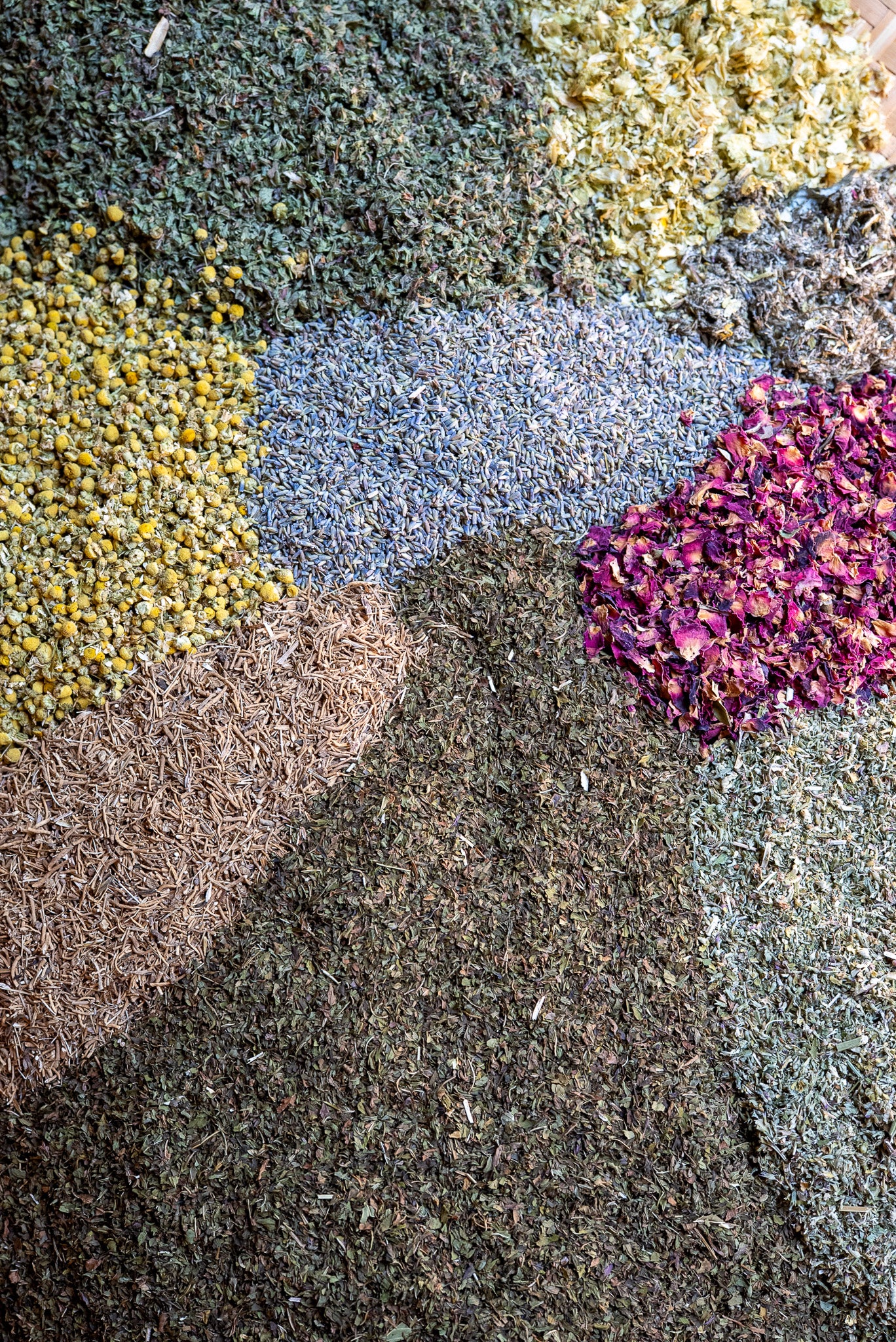 Refill of The Dreamer