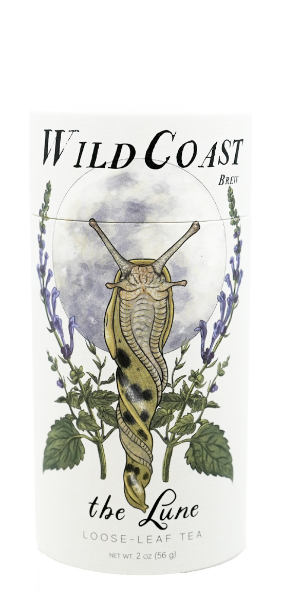 Wholesale Lune (UPC: 199284031388)